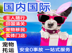 临汾航空空运国际宠物托运 【国